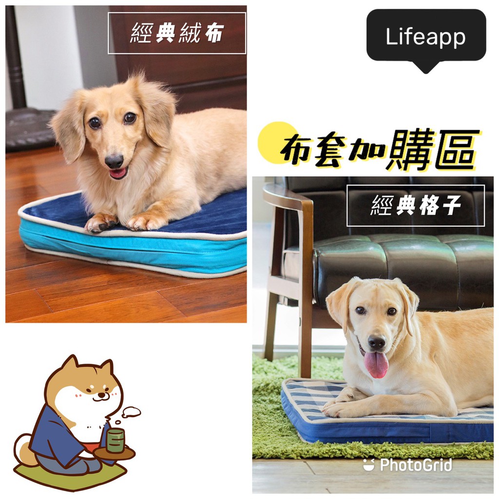 【Lifeapp】格子/絨布/透氣/透芯涼👉布套加購區