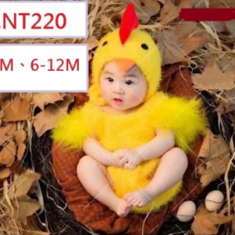 團拍 拍賣 評價與ptt熱推商品 21年5月 飛比價格