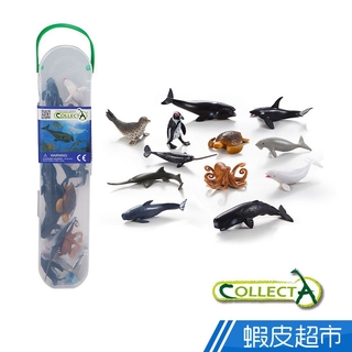 CollectA 迷你海洋生物組2 (盒裝-12入)~英國高擬真模型R1108 現貨 廠商直送