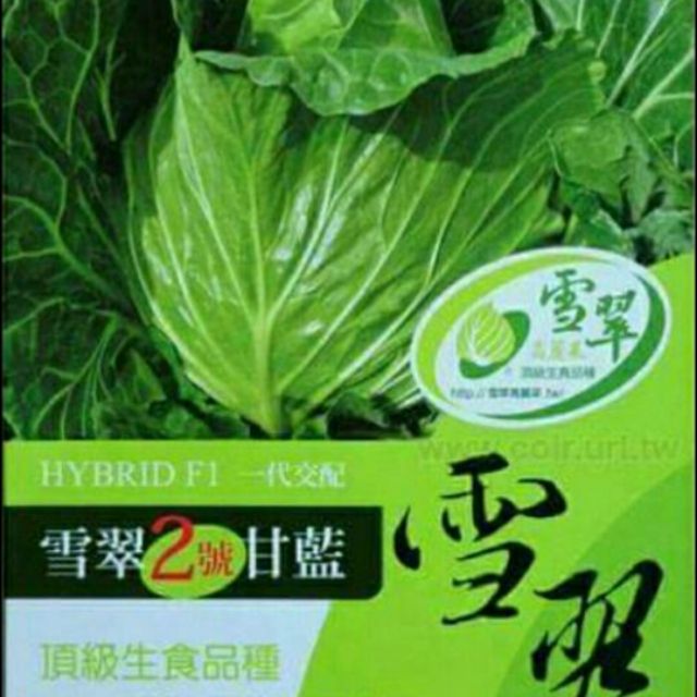 雪翠高麗菜種子$50(10粒籽)