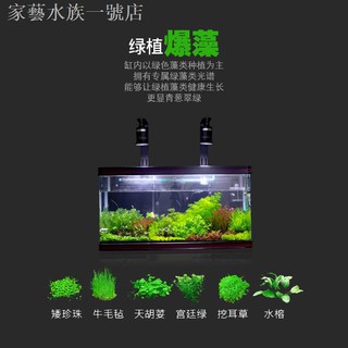 家藝水族一號店 線上商店 蝦皮購物