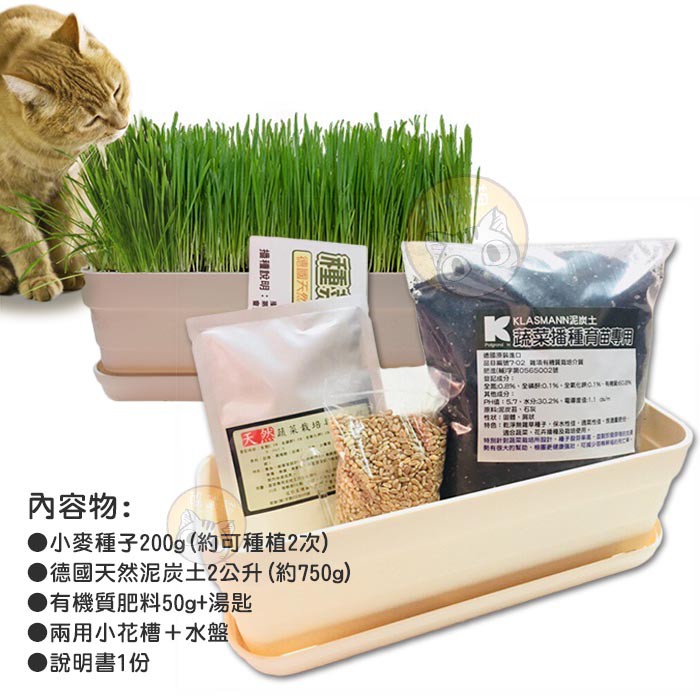 貓草 貓草種子培養土diy組合包60元小麥草 小麥種子 化毛貓草 寵物diy小麥草 貓草 寵物兔 小麥貓用 蝦皮購物