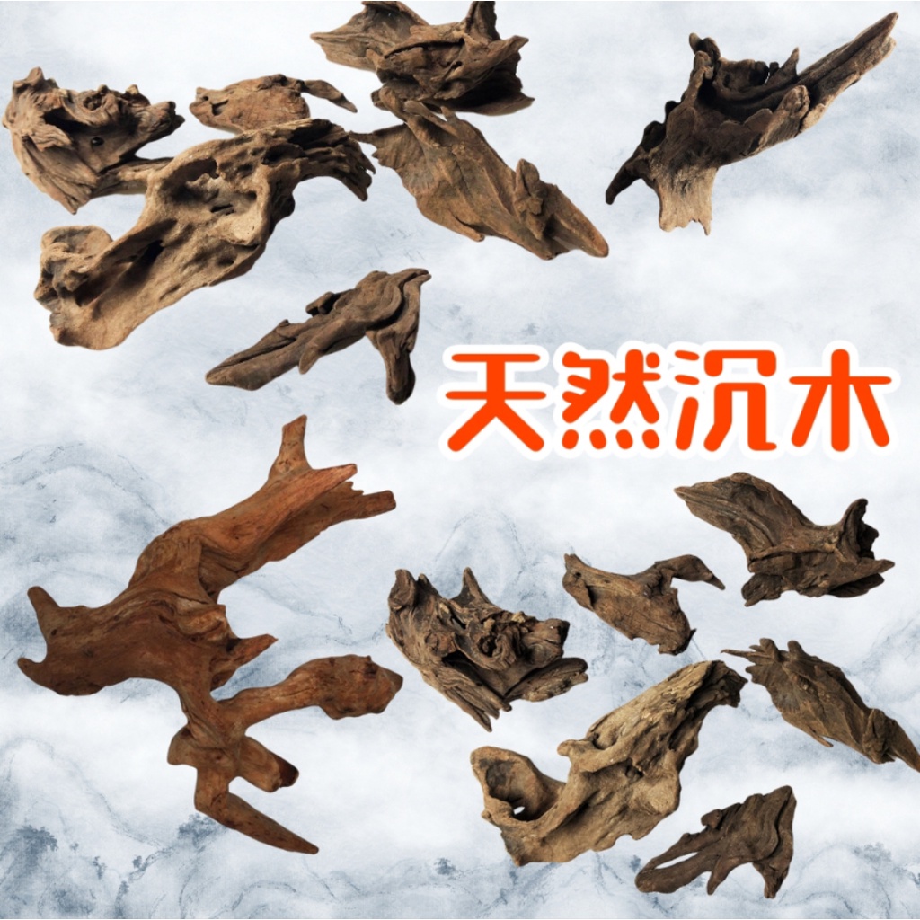 天然沉木流木木材造景利器水族箱水草缸爬蟲缸天然沉木小沉木園藝造景 蝦皮購物