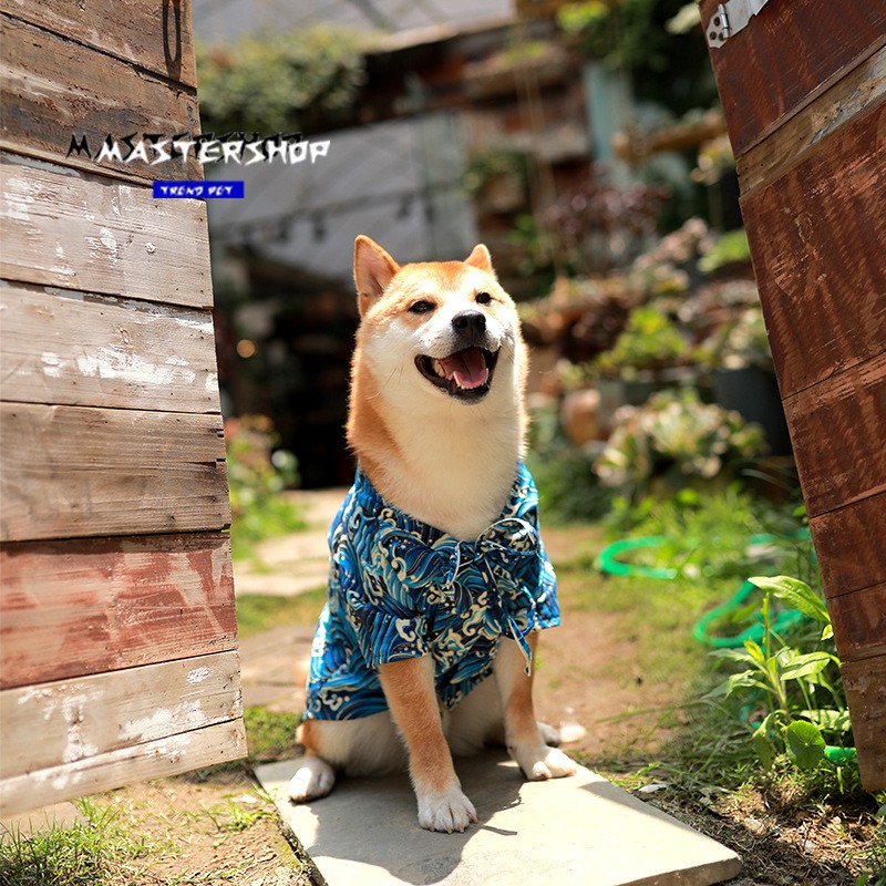 寵物衣服日系寵物和服海浪三色款和風狗狗衣服小中大型犬潮牌夏春寵物服飾原創設計狗衣服薄t恤透氣背心