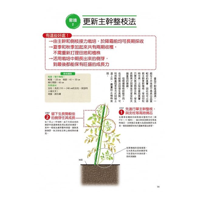 06 0021 長得好 採得多 蔬果整枝超圖解 蝦皮購物