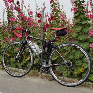Giant tcr advanced pro 1 2015 sale