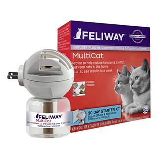 feliway safe for kittens