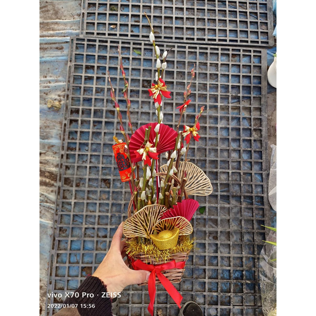 小銀柳提籃盆栽 花藝盆花 講桌花 會議桌花 開幕 喬遷 升遷賀禮 季節限定 蝦皮購物