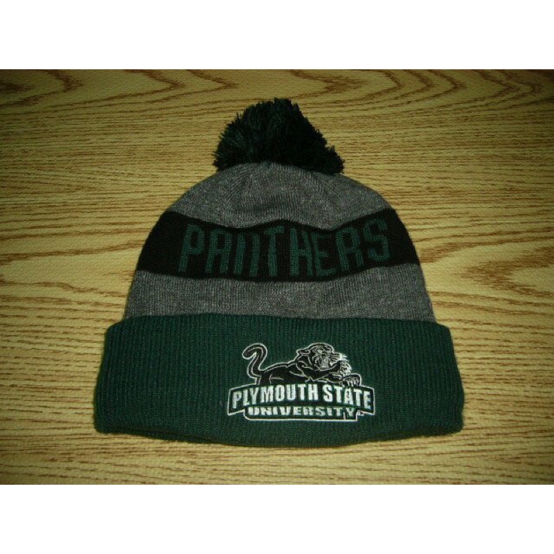 缺貨 NCAA毛帽 NEW ERA Plymouth State Panthers 綠色 灰色