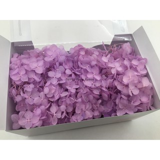 Truly 永生花 不凋花toka 東北花材小葉安娜貝爾 水無月拆盒繡球繡球花紫陽花 蝦皮購物