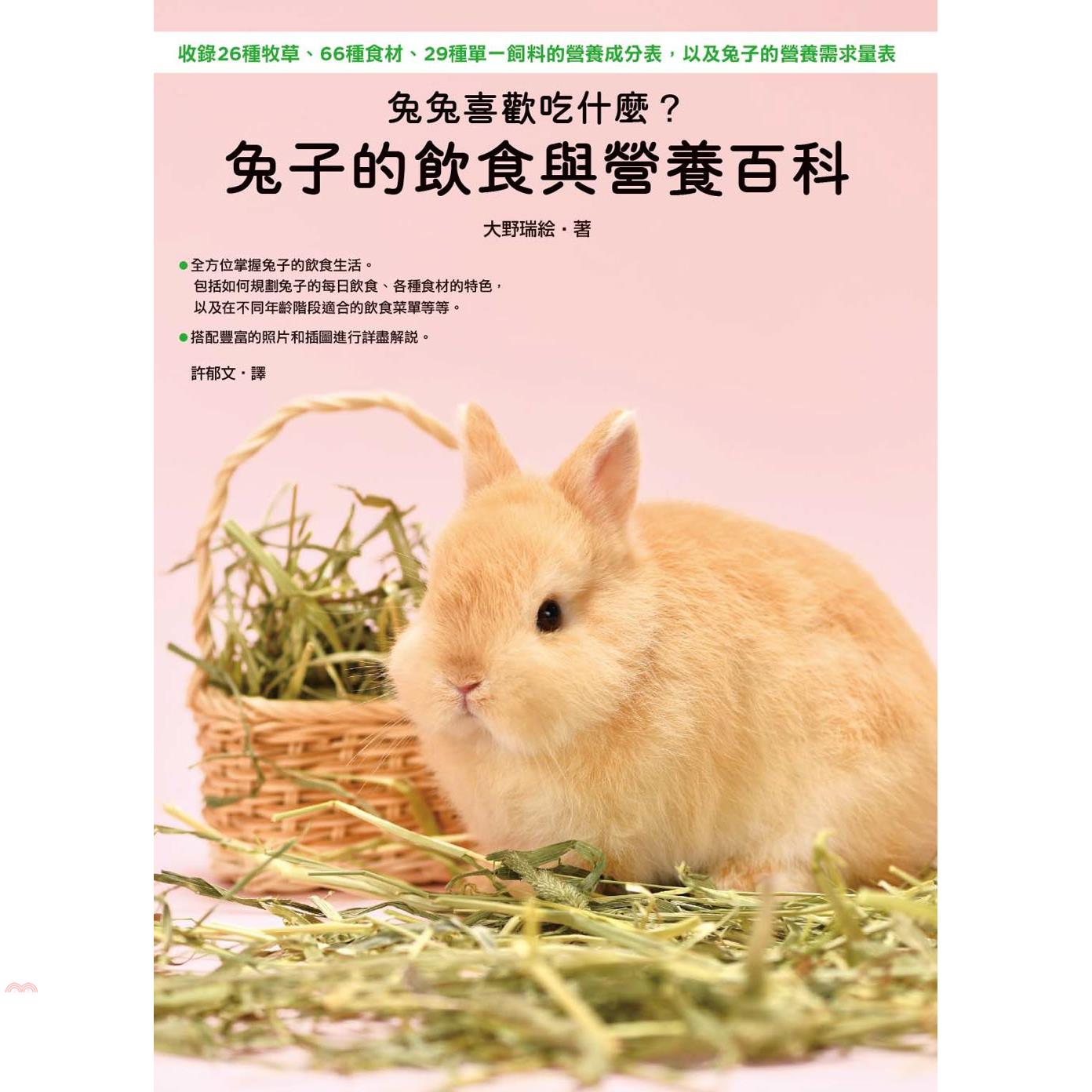 兔兔喜歡吃什麼？兔子的飲食與營養百科