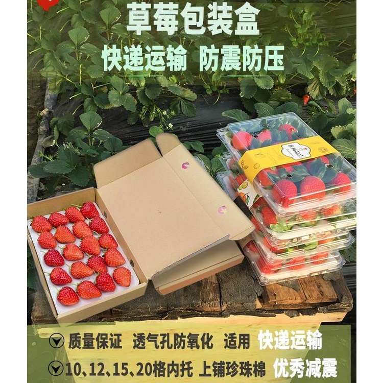 草莓包裝盒 現貨  草莓盒子 包裝盒快遞專用紙盒 高檔帶託水果打包防震 可訂製 透明禮盒