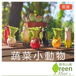 蔬菜小動物 微景觀 拍攝道具 生態瓶裝飾 園藝造景 苔蘚盆栽裝飾 多肉植物裝飾【綠色山嵐】