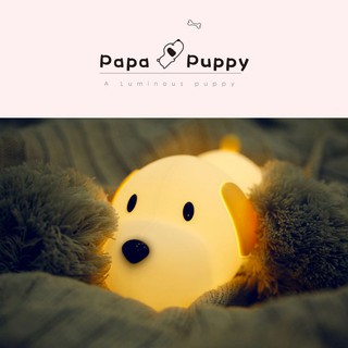 🎀 現貨中 papa puppy 呆呆汪 小狗伴睡燈 夜燈 觸控燈 夜燈 床頭燈 小狗 伴睡燈 造型燈