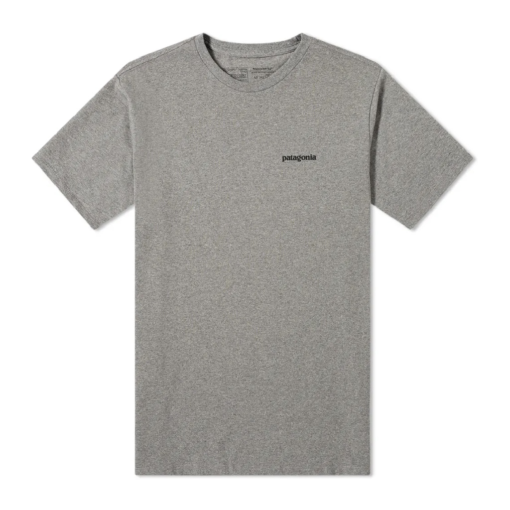 MERCI✰Patagonia P-6 Logo Tee 山景 山脈 短袖 短T T恤 T-shirt 現貨