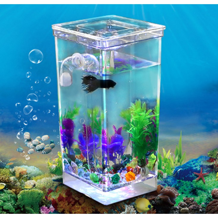 魚缸 現貨 自動換水懶人魚缸 水族魚缸