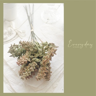 Cathy Zakka House 凱希生活 人造花仿真花 乾燥色系仿乾燥花穗小果 紫蘇花 高粱小米 紅藜麥串 配草花 蝦皮購物