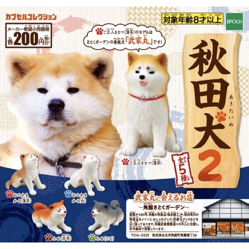 扭蛋 秋田犬2 柴犬 蝦皮購物