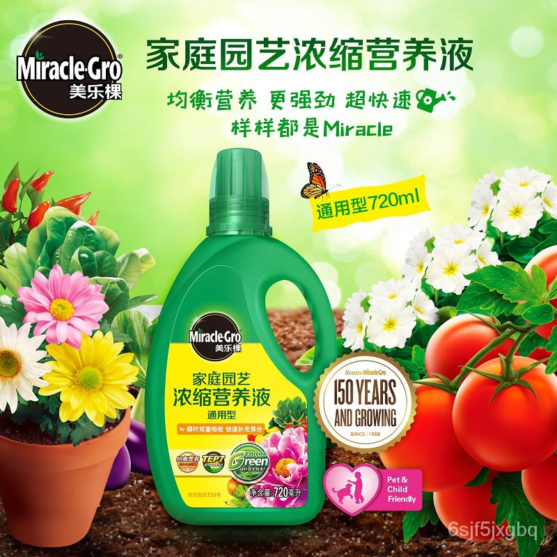 肥料多肉植物 Ptt討論與高評價網拍商品 21年8月 飛比價格