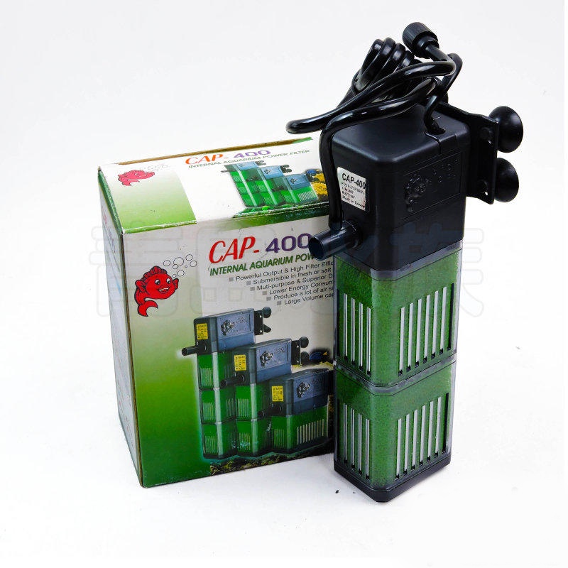 cap-1200f-2024-9-biggo
