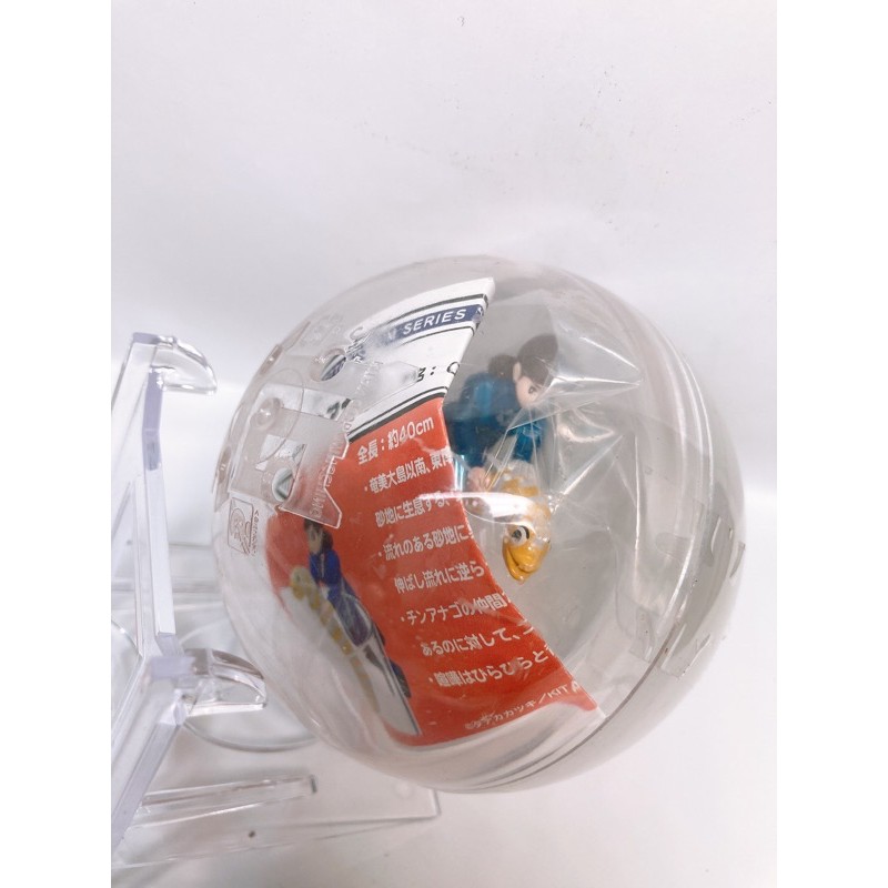 墨田水族館 花園鰻杯緣子 蝦皮購物