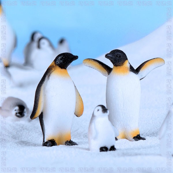 巧逸趣※企鵝 海豹 冰山(單入)微景觀雪景@極地系列 Zoo南極寫實 海洋動物公仔 多肉園藝療癒擺件