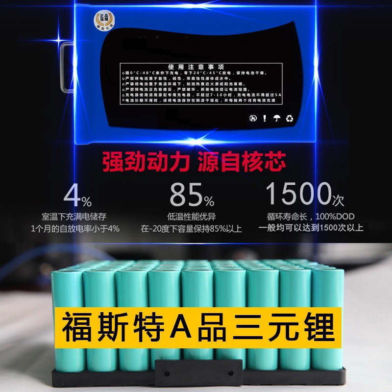 (含運)48V 20,25,30,35,40,50,60AH 18650福斯特動力鋰電池 鐵鋰電池(送5A充電器)非超威