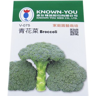 {綠花緣} 青花菜、綠色花椰菜、青花椰菜 Broccoli種子