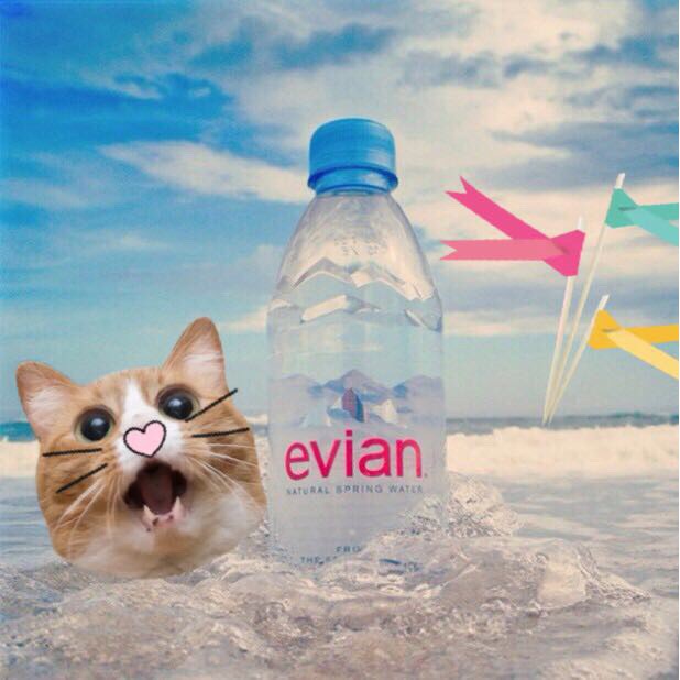 好市多線上代購 Evian 天然礦泉水 1500毫升 X 12瓶 礦泉水，下單前請先詢問