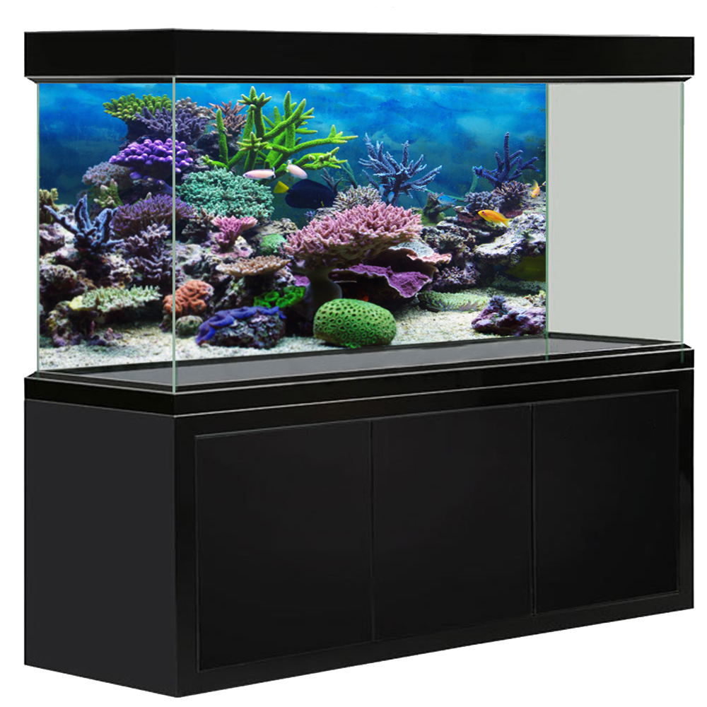 Jq 0016 魚缸背景圖片3d立體高清海洋系列圖片壁紙水族館貼紙壁畫裝飾畫圖案尺寸可定制 蝦皮購物