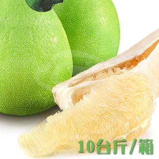 港尾果園34年老欉正麻豆文旦禮盒10臺斤