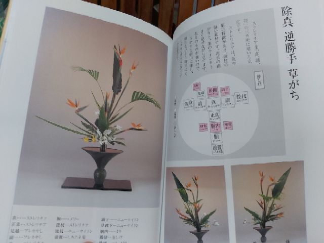 絕版池坊叢書簡明易懂的池坊插花進階版立花立華森部隆池坊中央研究學院教授池坊專永監修 蝦皮購物