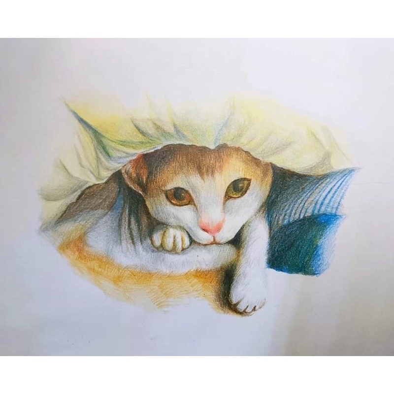 客製化 色鉛筆動物設計 蝦皮購物