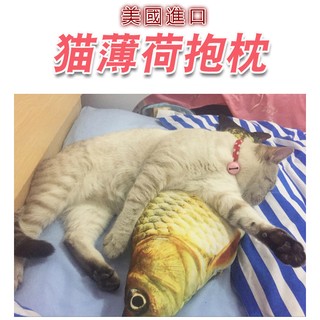 【香蕉生活館】💎現貨👑 模擬貓薄荷魚抱枕玩具 貓咪最愛!貓薄荷 逗貓棒 貓玩具 貓窩 貓草包 貓草抱枕