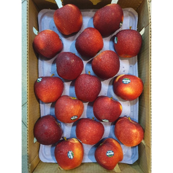 紐西蘭 Dazzle 蘋果 (3529) 原裝進口 35顆裝 (兩層) 冷藏低溫宅配 耀眼蘋果 無蠟蜜蘋果 #脆香甜