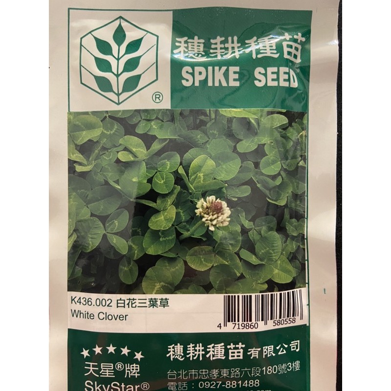 愛上種子 白花三葉草(幸運草) 天星牌 草種子 每包約80g