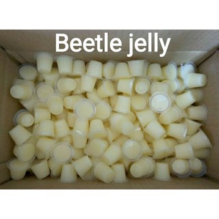 AUDD/外銷日本款/香蕉果凍/甲蟲/蜜袋鼯小動物果凍/1顆3塊/Beetle jelly