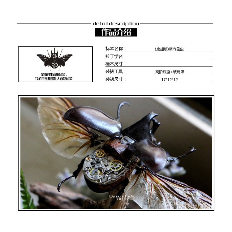 收藏品 動態蒸汽朋克昆蟲甲蟲姬兜南洋大兜蟲標本復古擺件扇翅膀收藏品 蝦皮購物