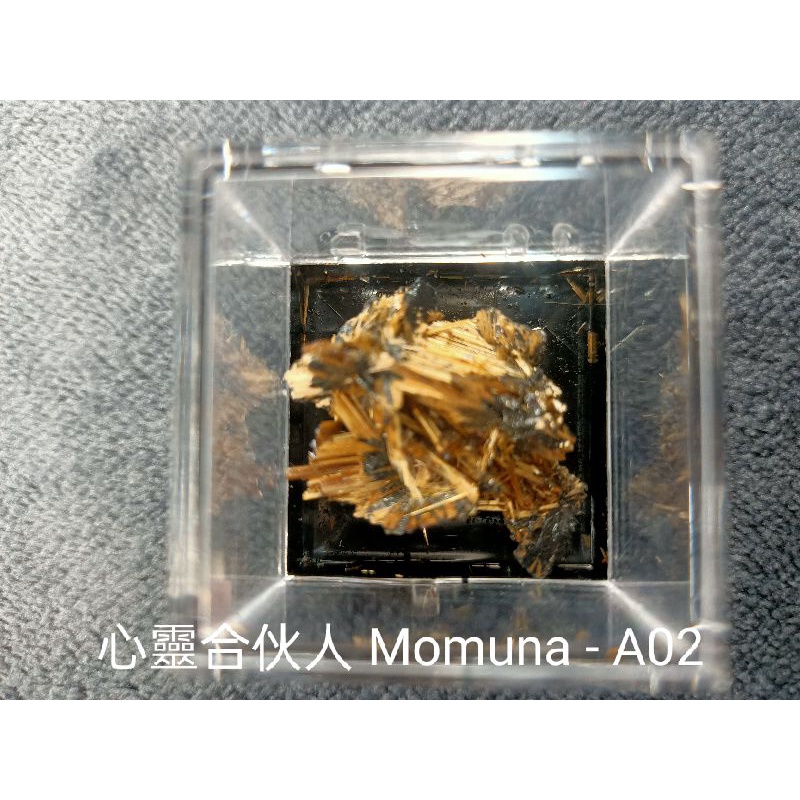 🌟Momuna/心靈合伙人🌟天然鈦晶含母礦裸礦原石-M-A02