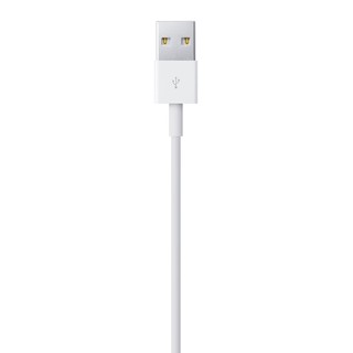 Lightning 對 USB 連接線 (1 公尺)apple 充電線