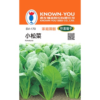 《農友種苗》特選蔬果種子 SV-170小松菜