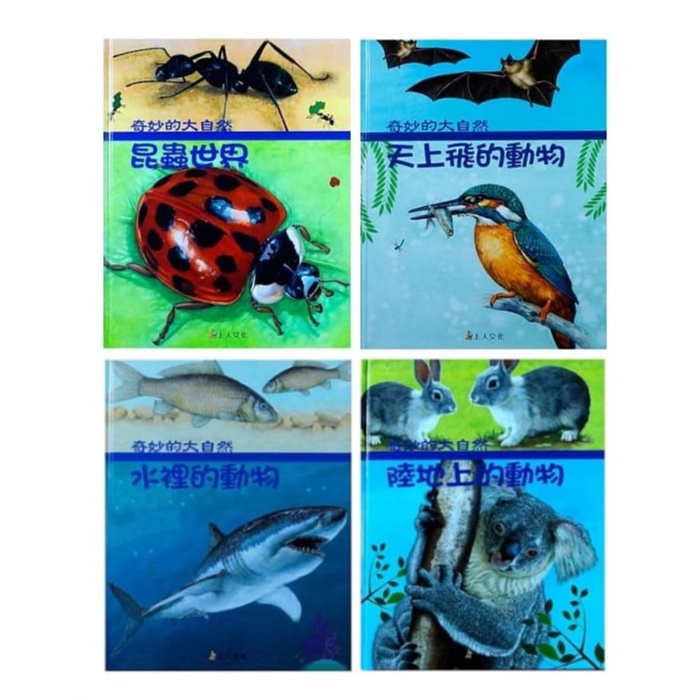 MD嚴選 上人-昆蟲世界／天上飛的動物／水裡的動物／陸地上的動物