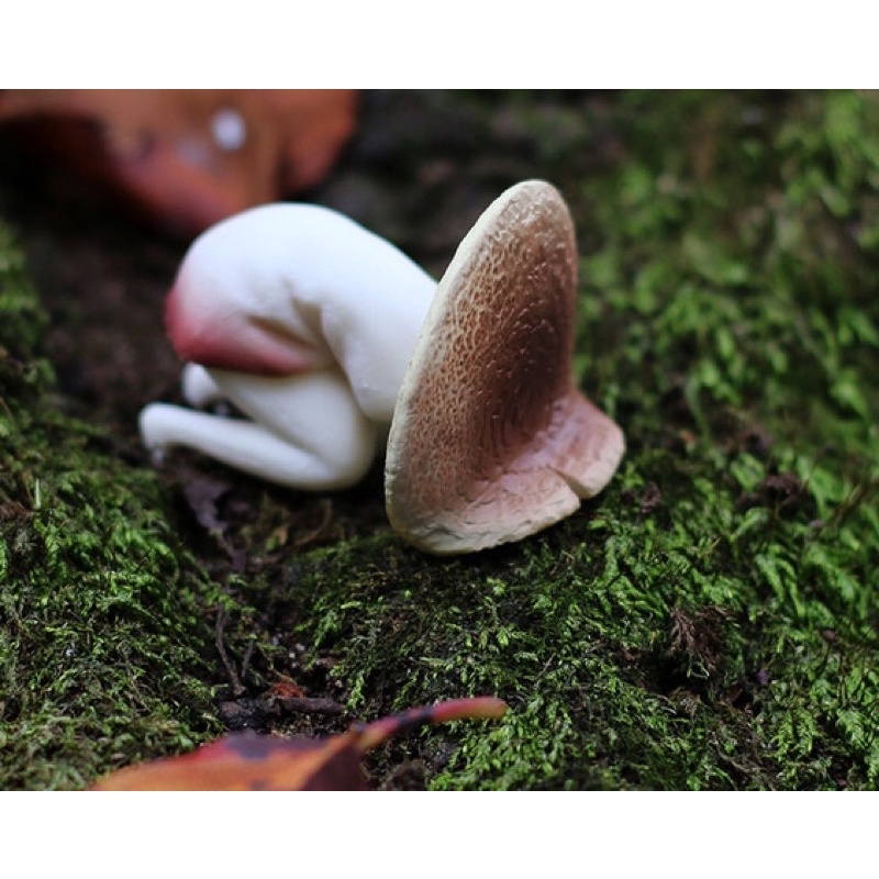 SHINE-G日本腹痛毒菇菇扭蛋玩具 肚子痛蘑菇少女