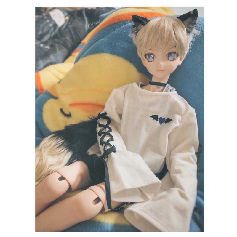Bjd Dd 里親ddh09完妝頭 蝦皮購物