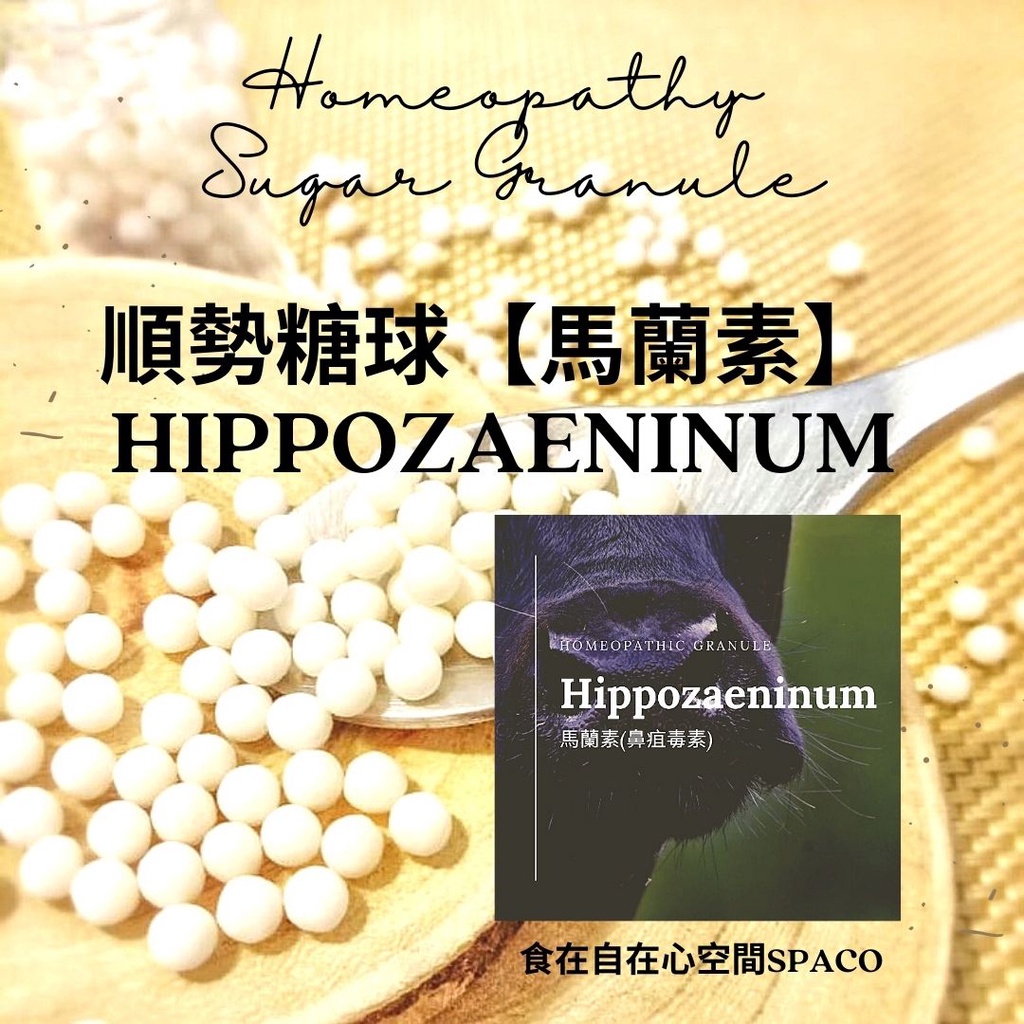 順勢糖球【馬蘭素(鼻疽讀素)Hippozaeninum】➖鼾、紅蓮火焰➕好鼻師 Homeopathy