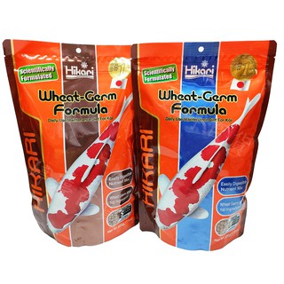 日本 高夠力 Hikari 錦鯉胚芽飼料【顆粒S、M 500g 浮水性】錦鯉 大型金魚 龍鯉 婷婷百貨 金金水族