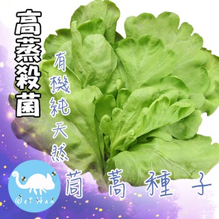 茼蒿種子高蒸殺菌有機天然種子(一組500顆以上裝/包)