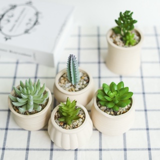 素燒盆批發 比價撿便宜 優惠與推薦 22年5月