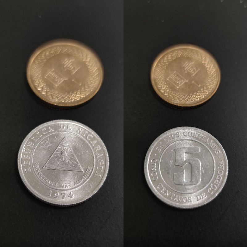 尼加拉瓜 分 幣，流通品項