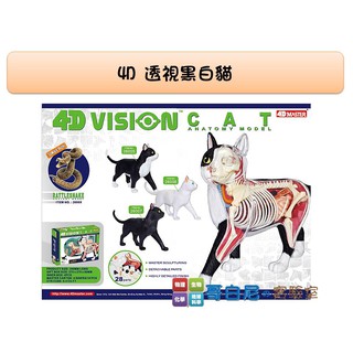 哥白尼的實驗室/生物/4D透視黑白貓模型/正版Fame Master/貓咪模型 動物模型 黑白貓解剖拼裝模型